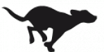 dog running animation